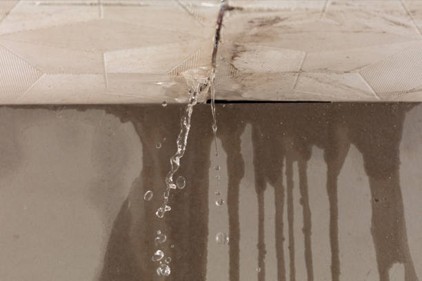 Professional Burst Pipe Cleanup technician working in Irvington, KY